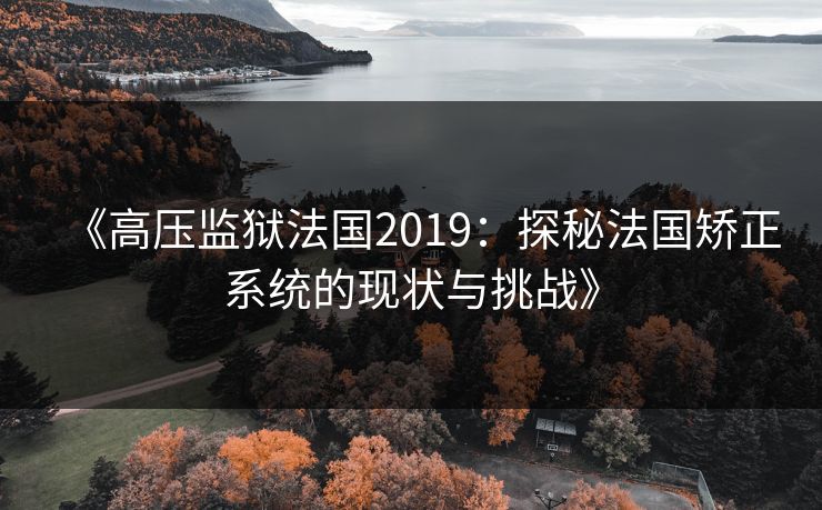 《高压监狱法国2019：探秘法国矫正系统的现状与挑战》