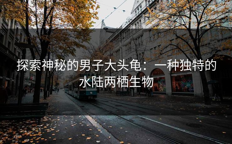 探索神秘的男子大头龟:一种独特的水陆两栖生物 探索神秘的男子大头龟:一种独特的水陆两栖生物