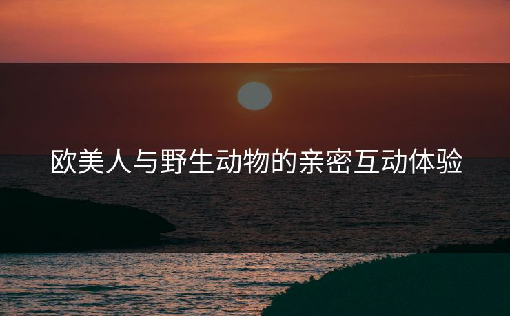 欧美人与野生动物的亲密互动体验 欧美人与野生动物的亲密互动体验