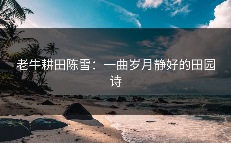 老牛耕田陈雪:一曲岁月静好的田园诗 老牛耕田陈雪:一曲岁月静好的田园诗