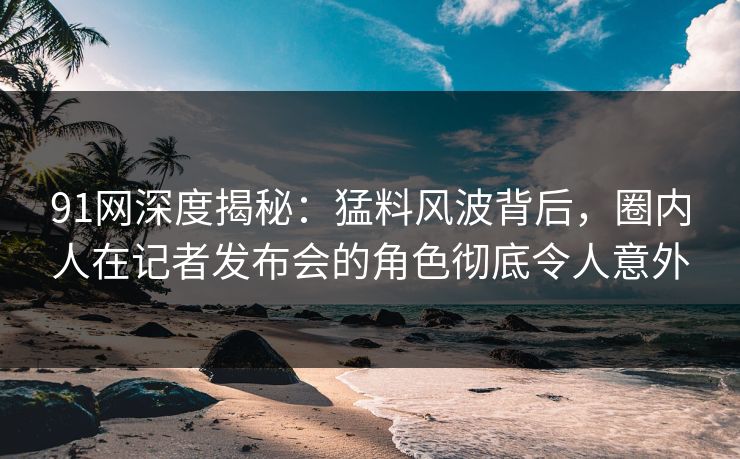 91网深度揭秘：猛料风波背后，圈内人在记者发布会的角色彻底令人意外