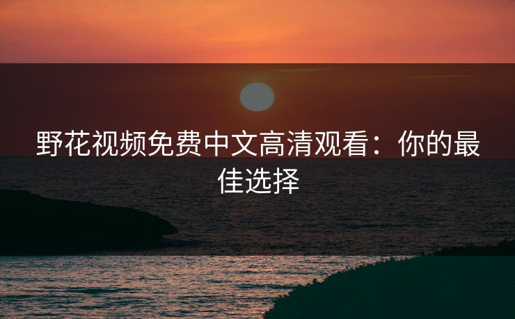 野花视频免费中文高清观看：你的最佳选择